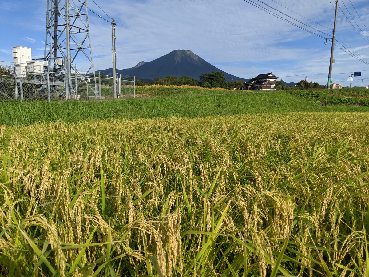 大山